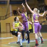 celje play off 16-17