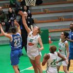 beroe_montana jan 2017